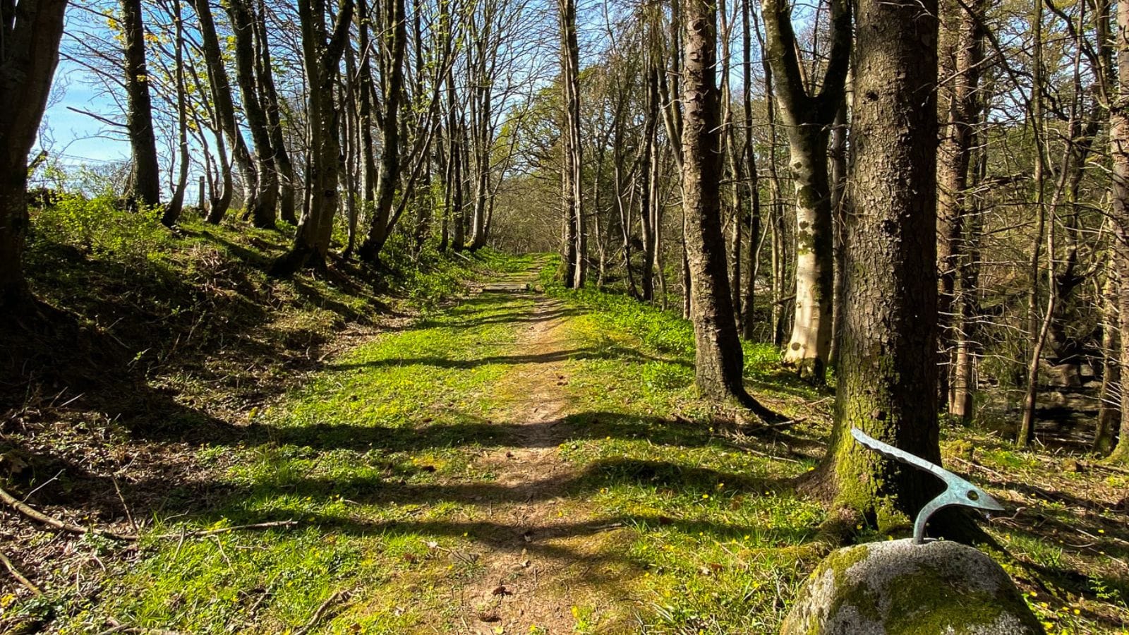 Lindsayston Trail, Dailly