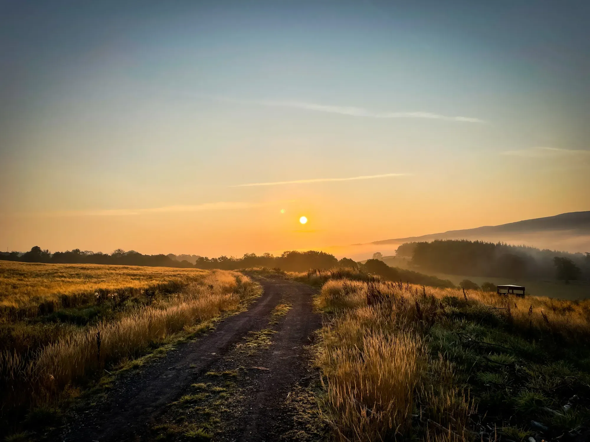 <strong>The three unique landscapes making Dailly extraordinary.</strong>