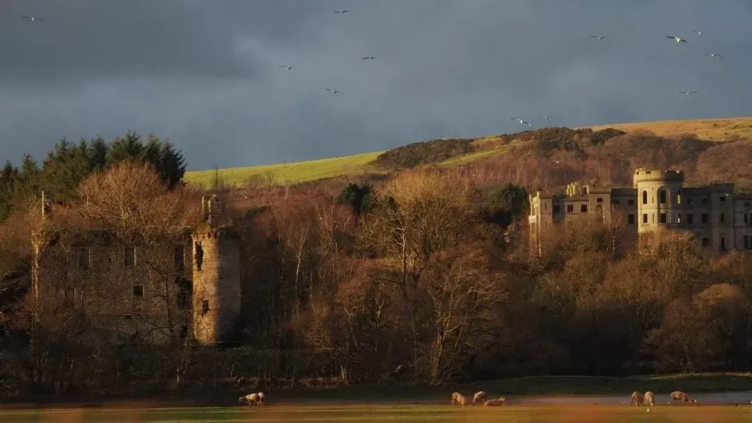 Dalquharran Castles Daiily in Autumn.