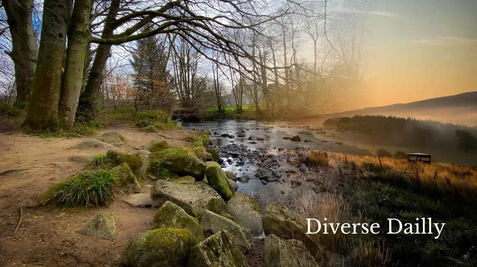 The diverse landscapes of Dailly.