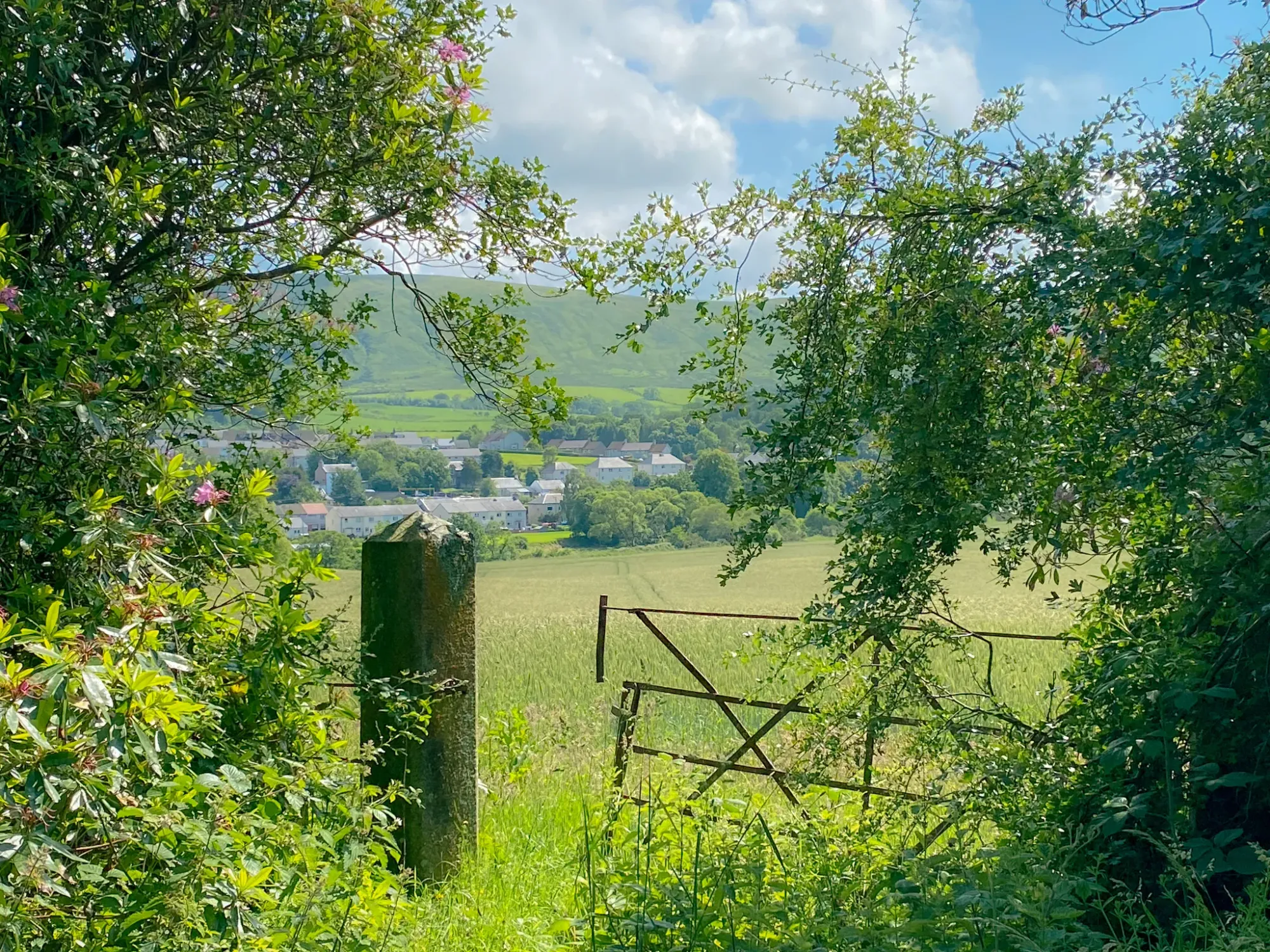 Semi open rusty field gate with Dailly Village in the distance