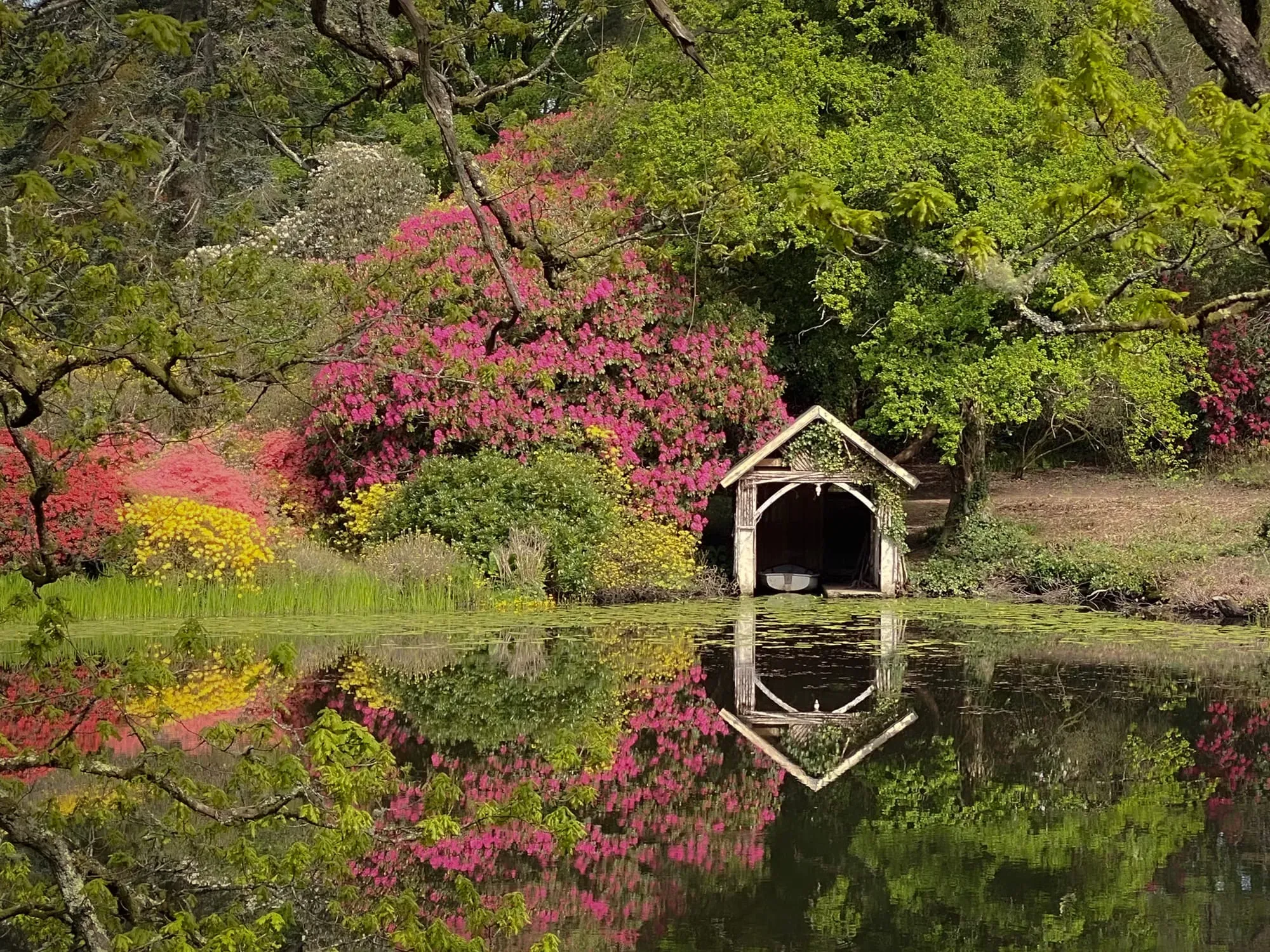 Bargany Gardens, near Dailly, Girvan.