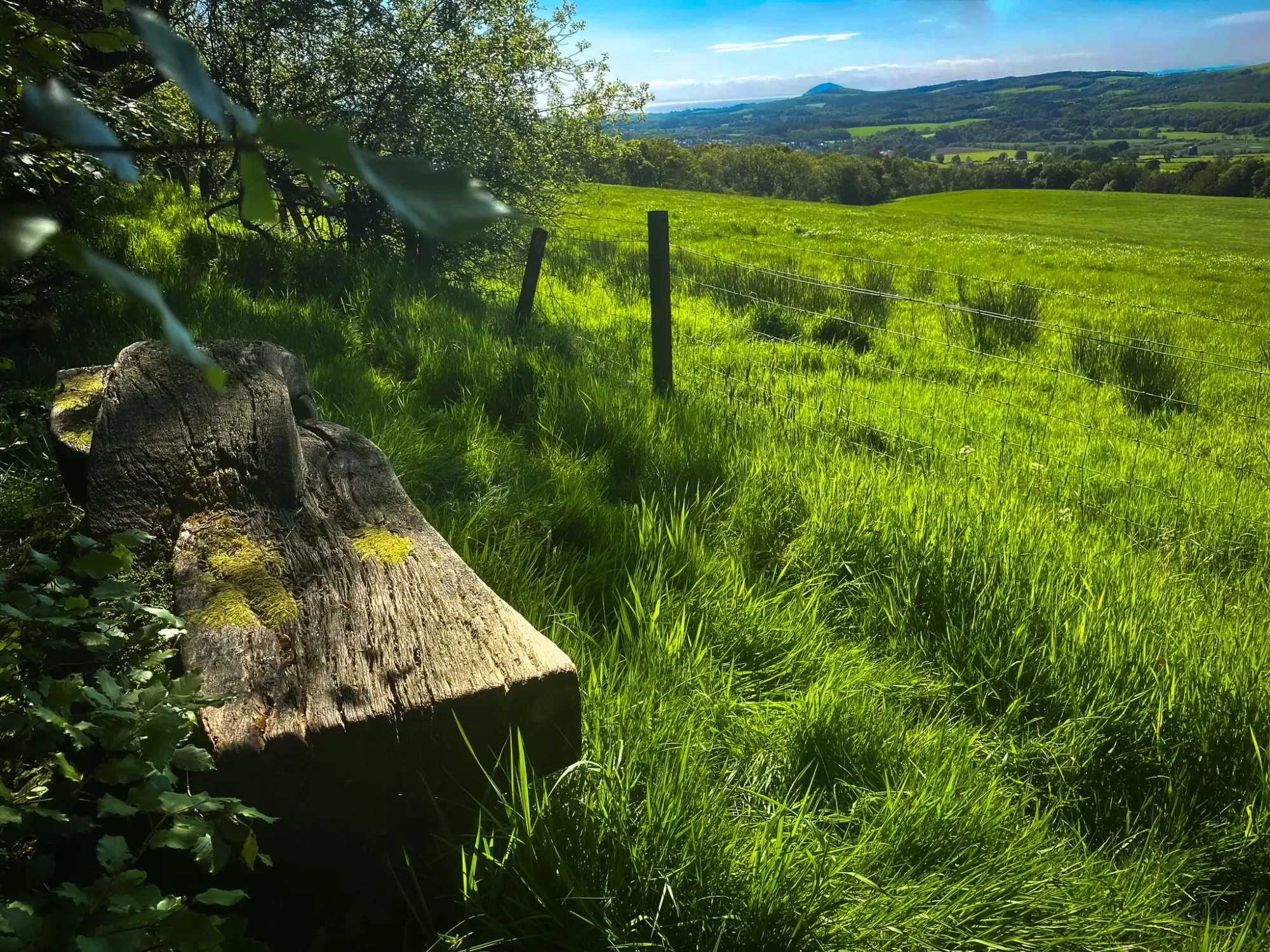 Bench View, Barony Hill Trail, Dailly
