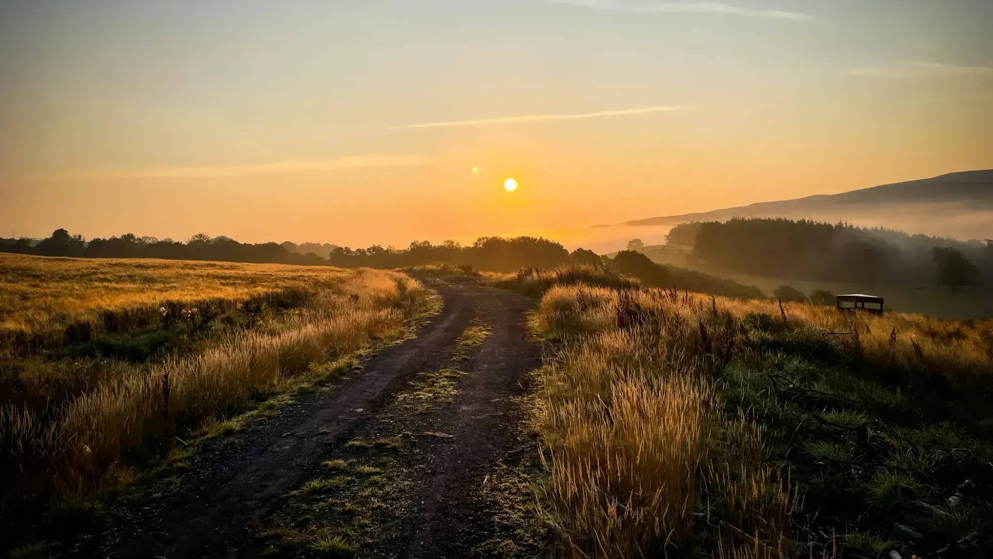 Sunrise on the Dalquharran Estate.