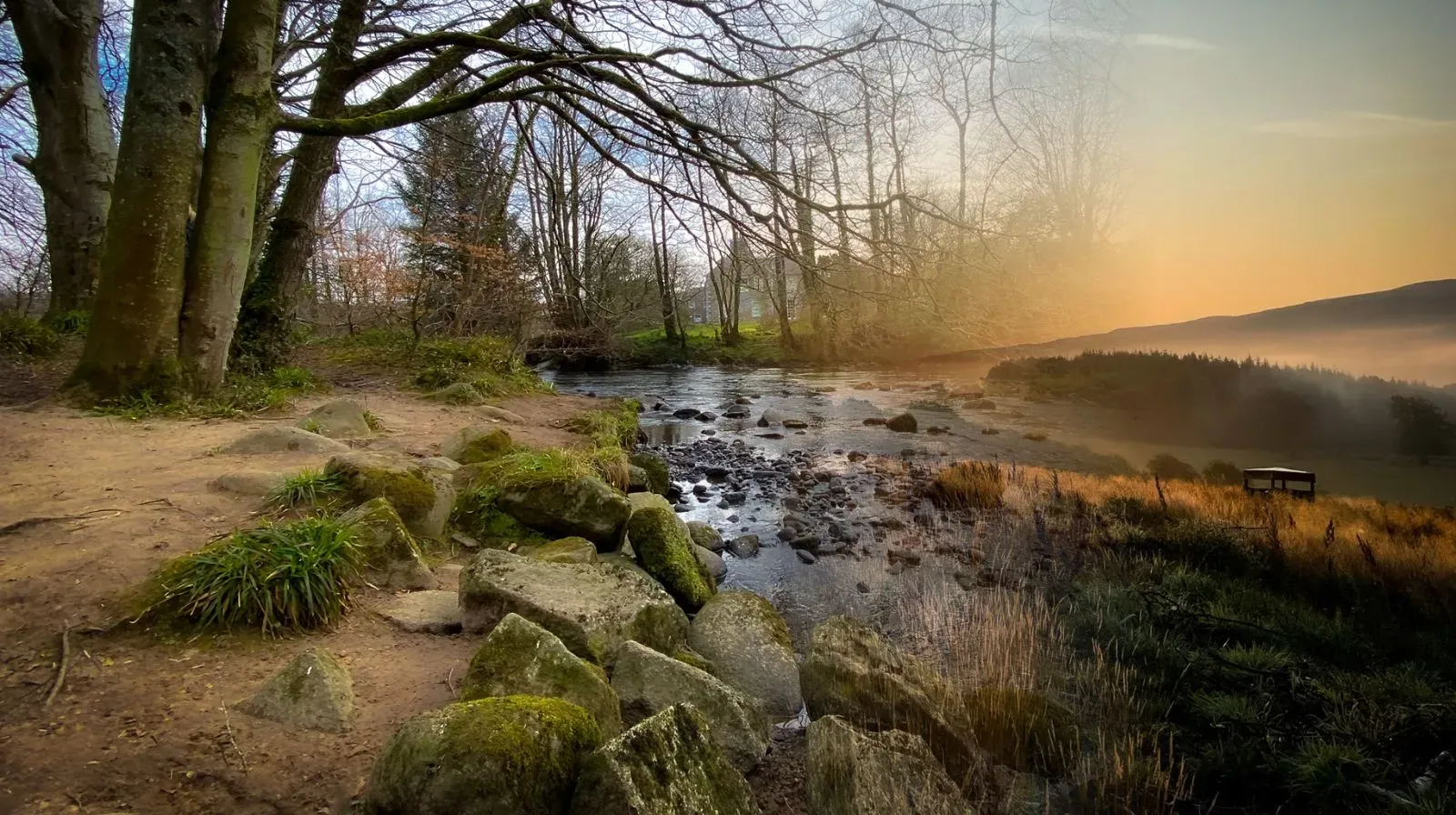 Two diverse walks in Dailly on the Dalquharran Estate.