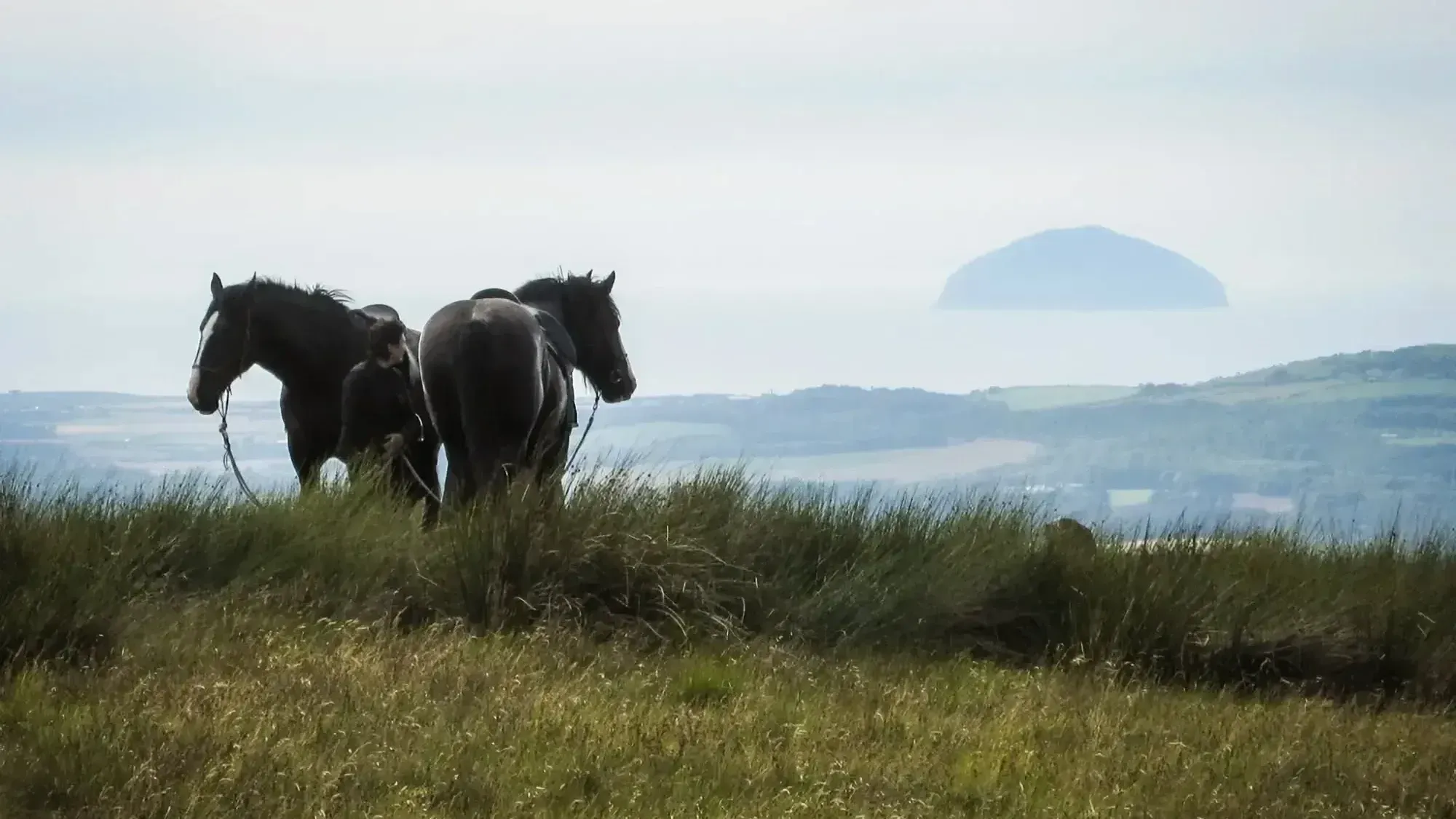 Ailsa Craig View from the hills over Dailly