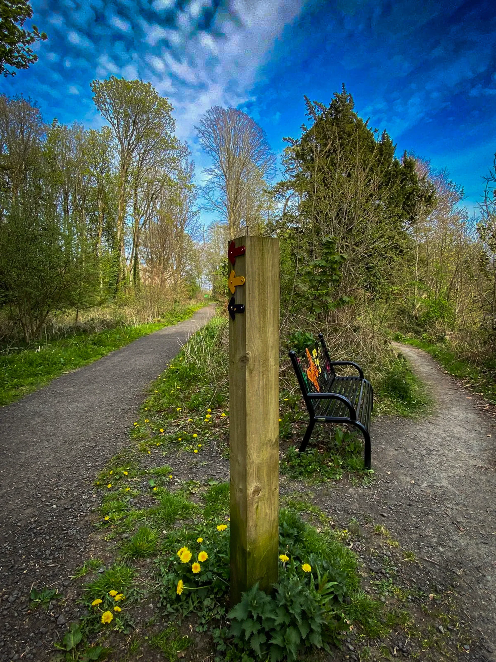 Waymarker & Bench on Dalquharran Walks Dailly