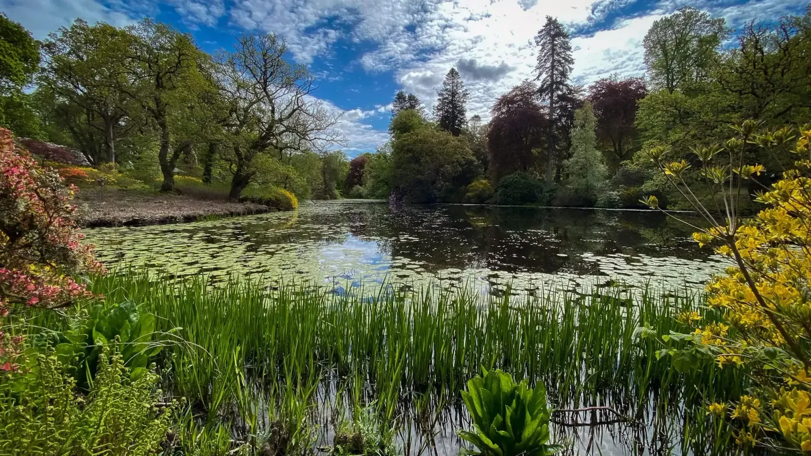 Bargany Gardens. Open For Public Enjoyment Each May.