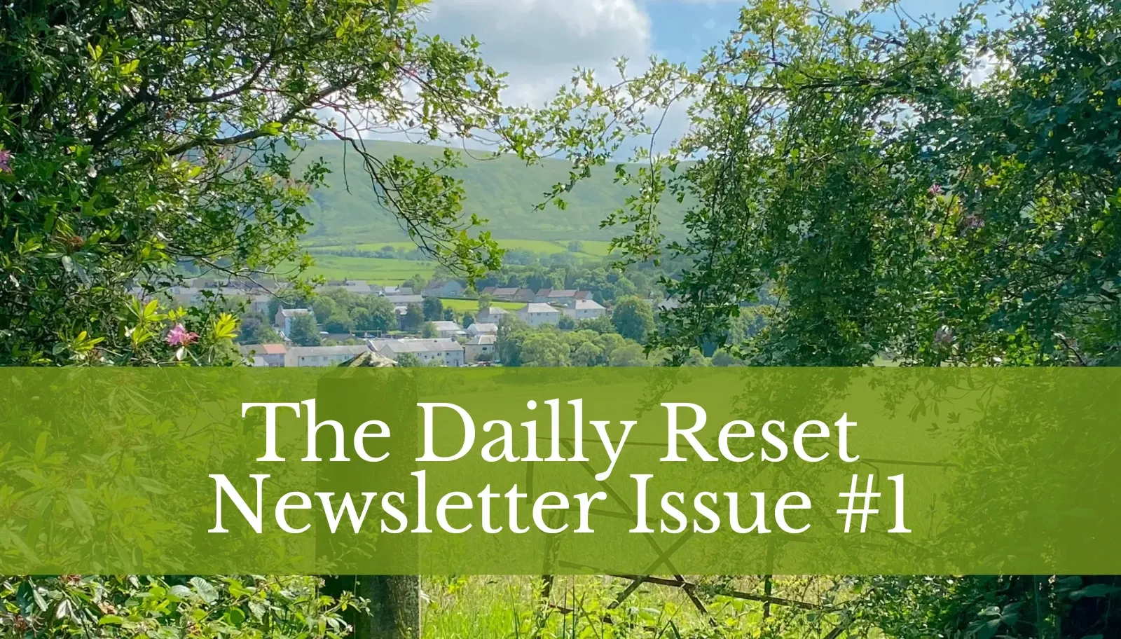 The Dailly Reset — Issue #1