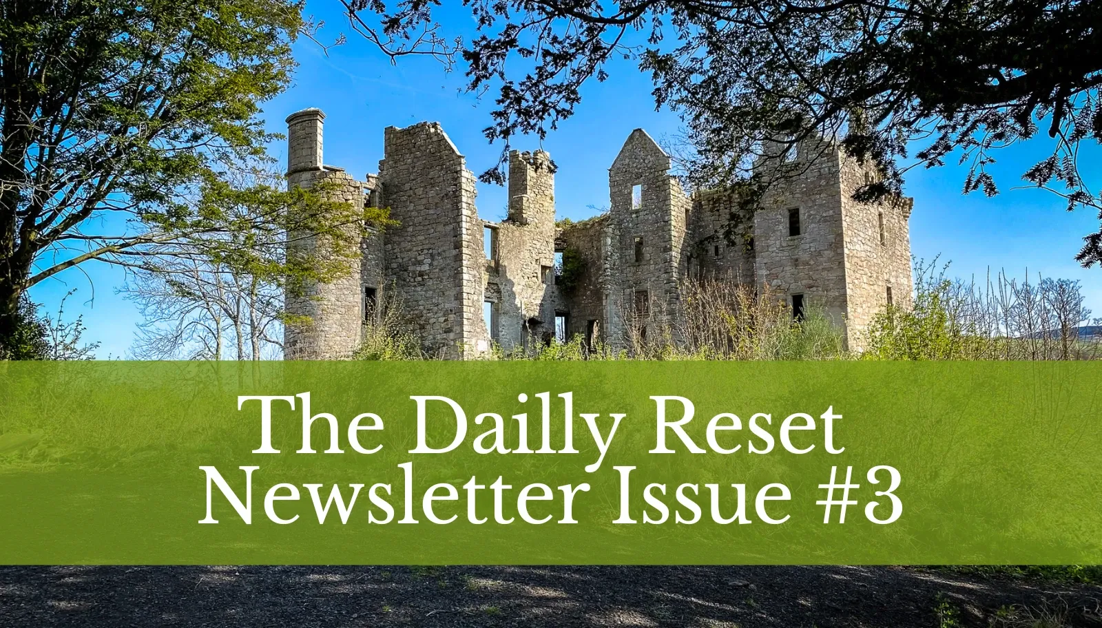 The Dailly Reset — Issue #3: The Place That Rewards Returning